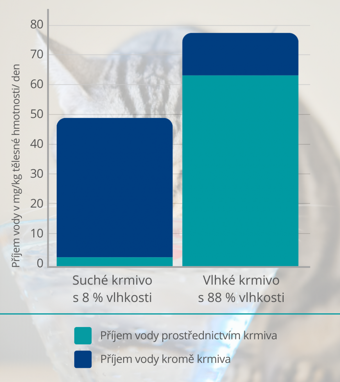 Kočka_pití_graf_rádce